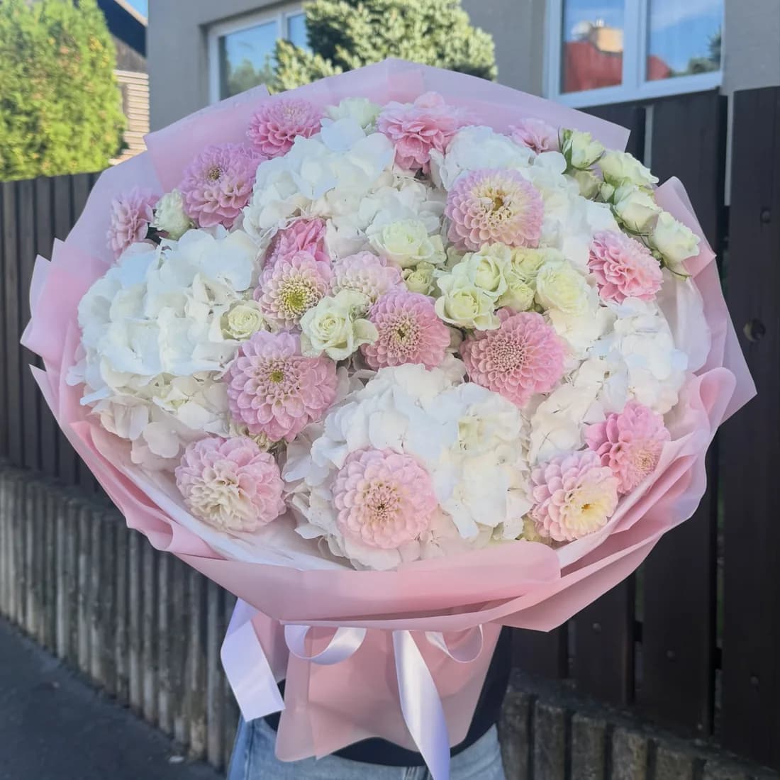Dahlias
